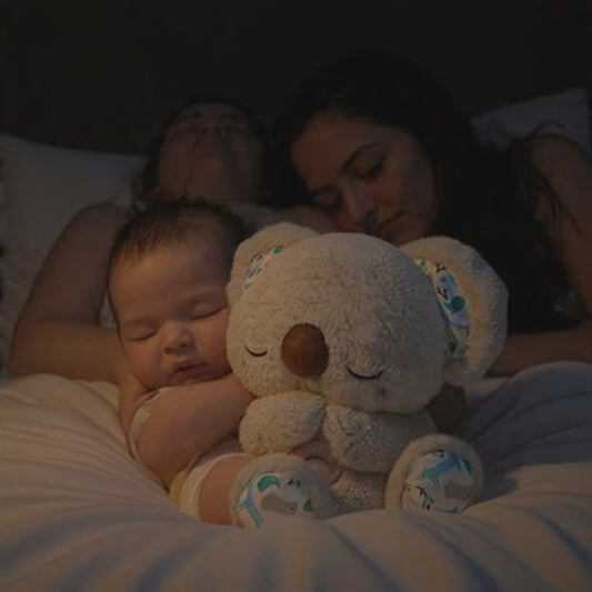 🐨 Koala del Sueño